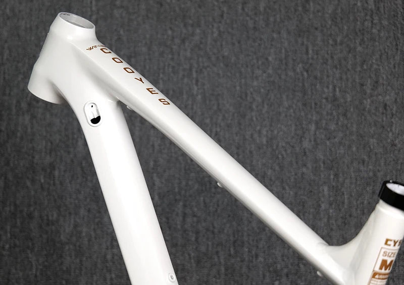 Bicycle Full Suspension Frame Soft Tail Trunnion MTB  Enduro  DH XC AM Mountain Frame  29/27.5ER Boost12*148mm Inner Cable DPD