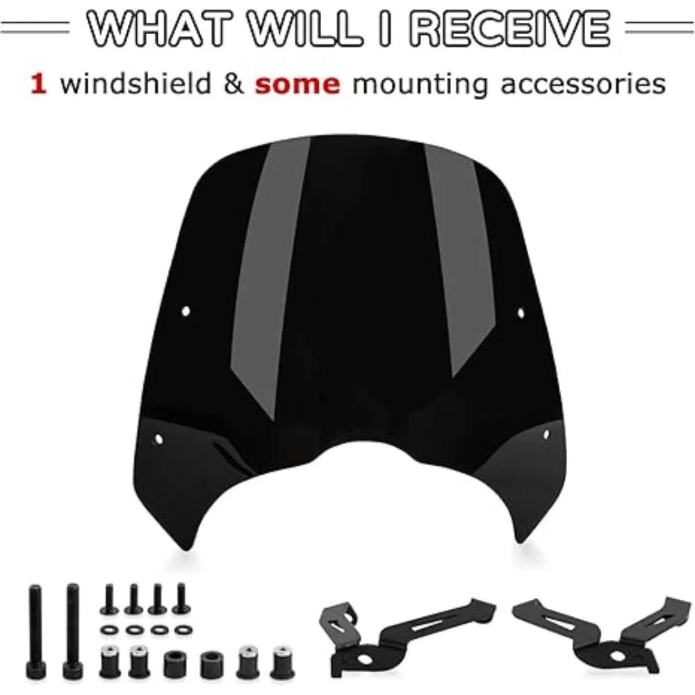 Kawasaki Windshield