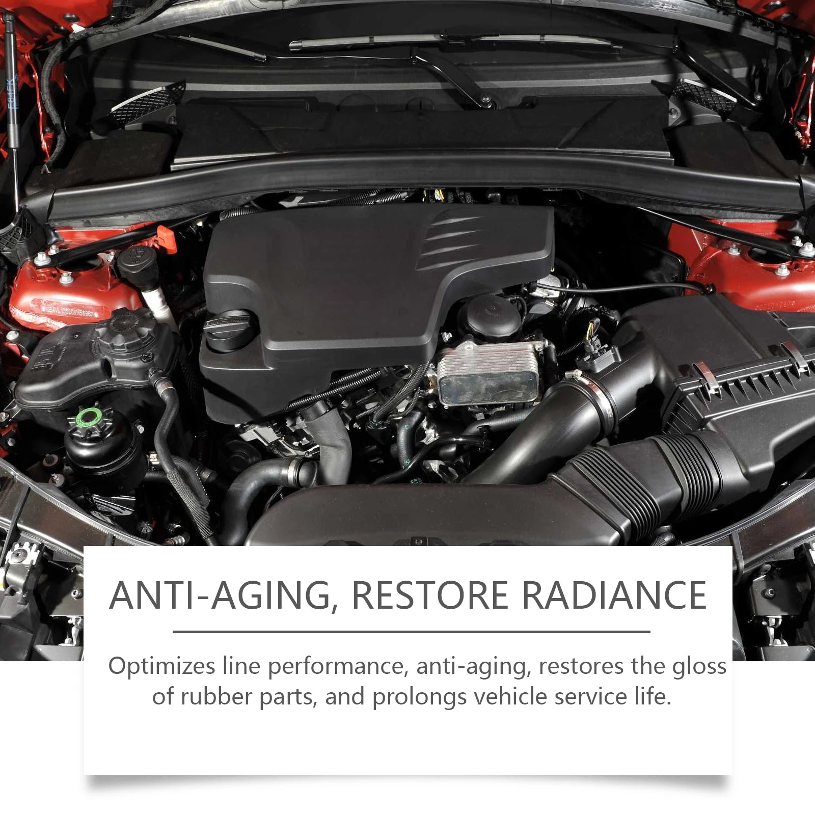 RAYHONG Car Engine Bay Cleaner