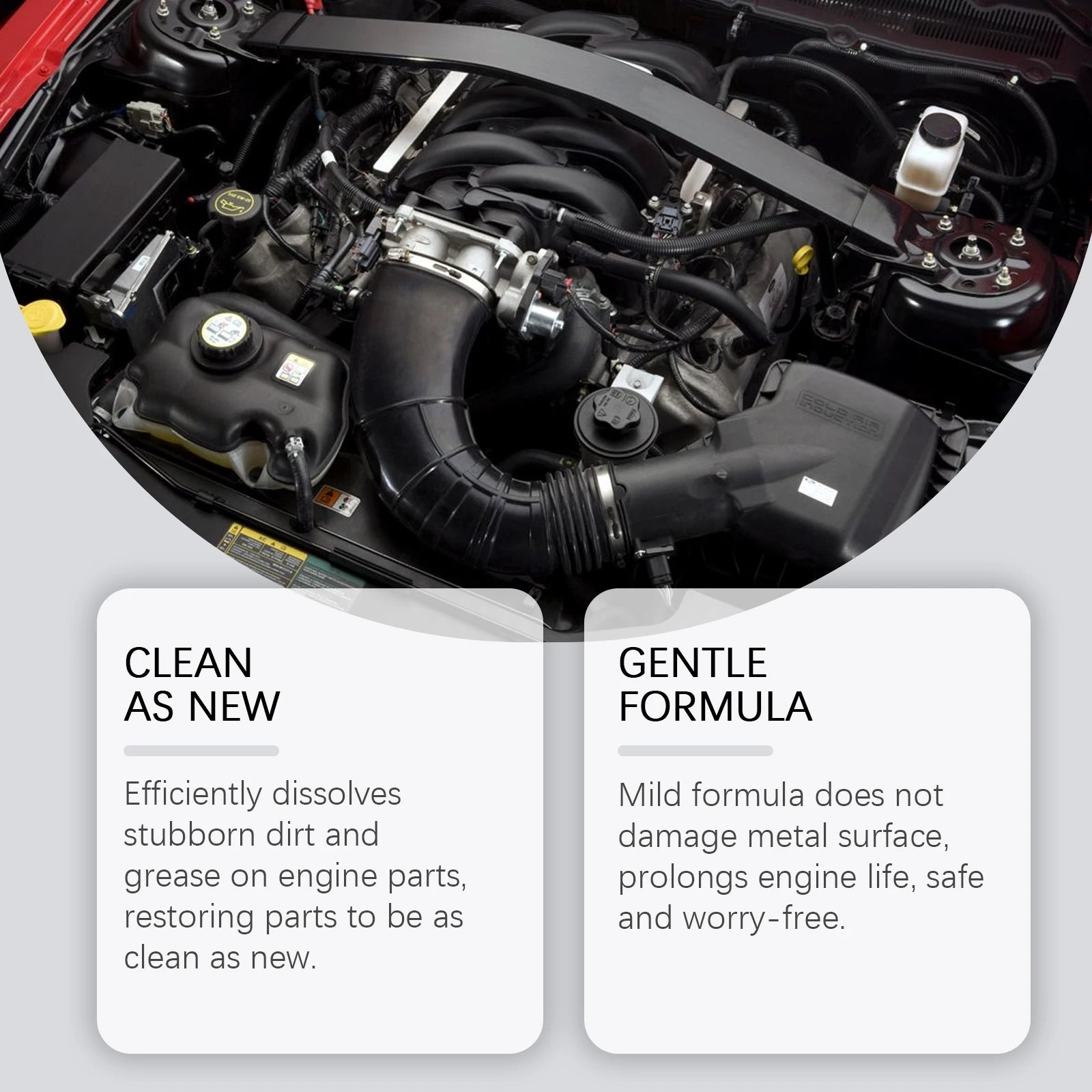 RAYHONG Car Engine Bay Cleaner